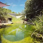 Denkmalgeschuetztes Haeuschen Mit Schwimmteich Holiday home Braunfels