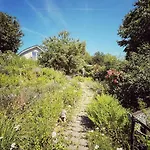 Denkmalgeschuetztes Haeuschen Mit Schwimmteich *